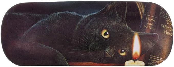 BLACK CAT GLASSES CASE