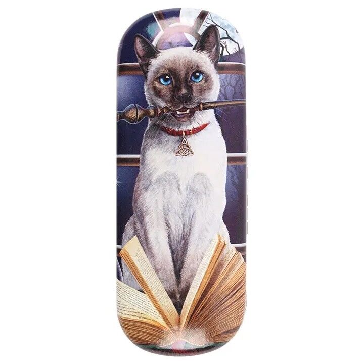 hocus pocus glasses case
